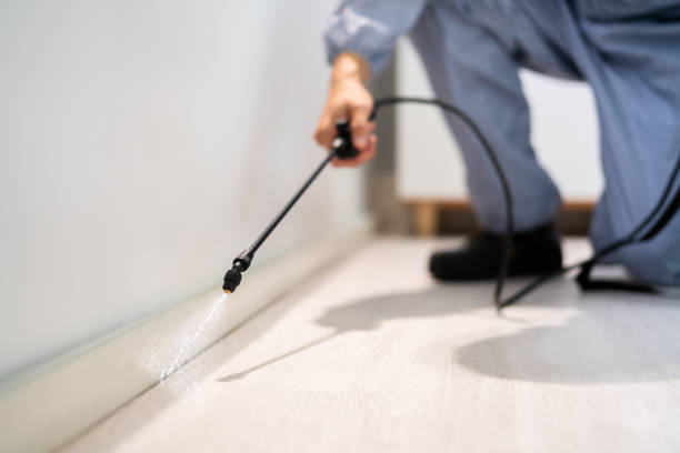 Professional exterminator conducting IPM assessment in Algona
