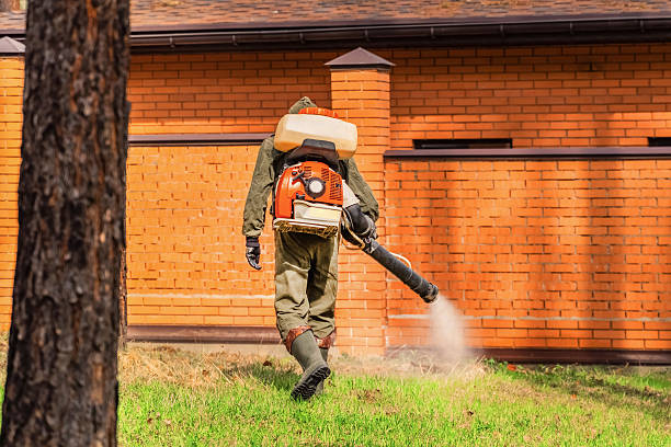 Bed Bug Clearance Verification and Documentation in Algona